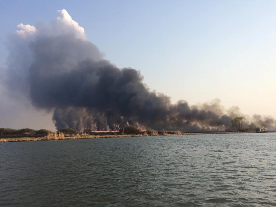 Одна з пожеж на території Нижньодністровського національного парку