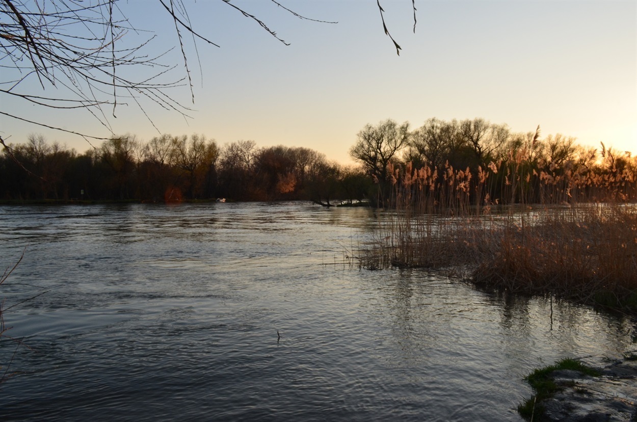 Водно-болотні угіддя пониззя Дністра, район річки Турунчук та заплавних луків