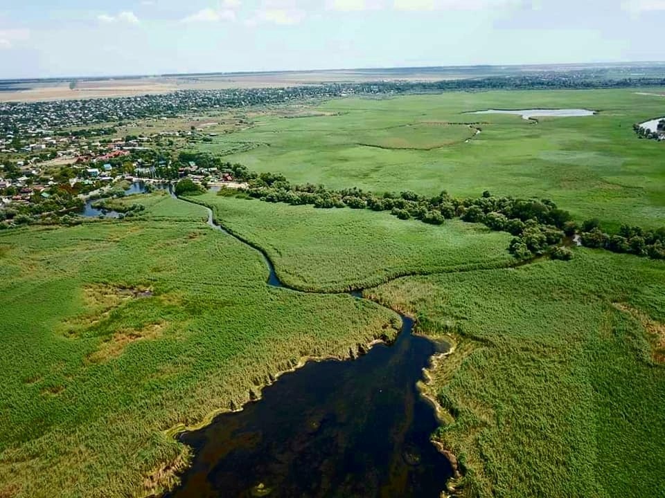 Водно-болотні угіддя Пониззя Дністра