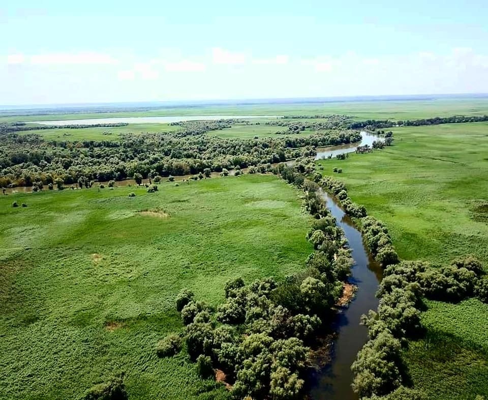 Нижньодністровський національний природоохоронний парк