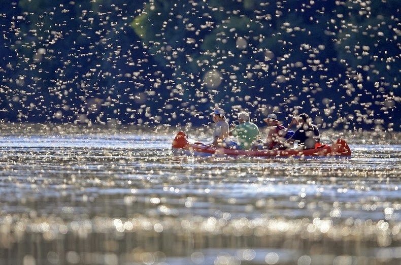 Photo credit: Reuters