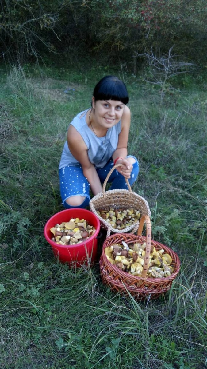 Осінні маслюки знайдені в селі Палійово, Одещина