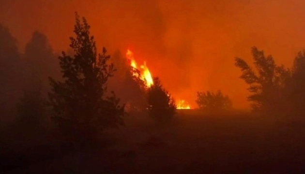 Пожежі у зоні відчуження Чорнобильської атомної електростанції (ЧАЕС) виникли 17 травня