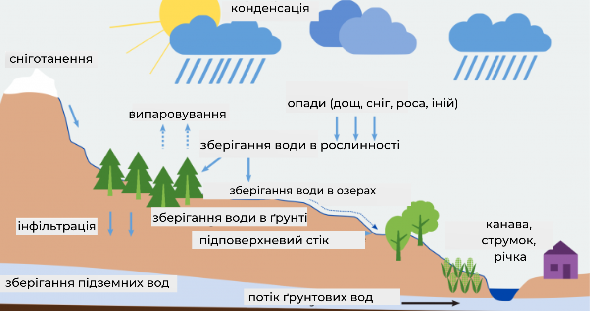 Фази кругообігу води (випаровування, конденсація, опади, збір)
