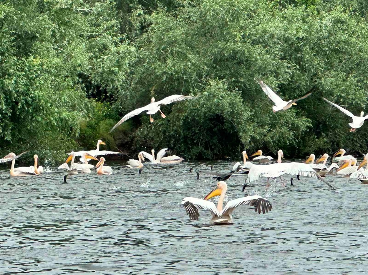 Фото зі сторінки Нижньодністровського національного парку 
