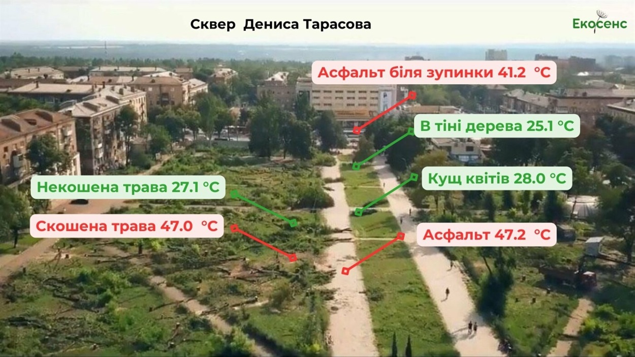 В Запоріжжі провели експеримент та виміряли температуру асфальту і в тіні дерев.