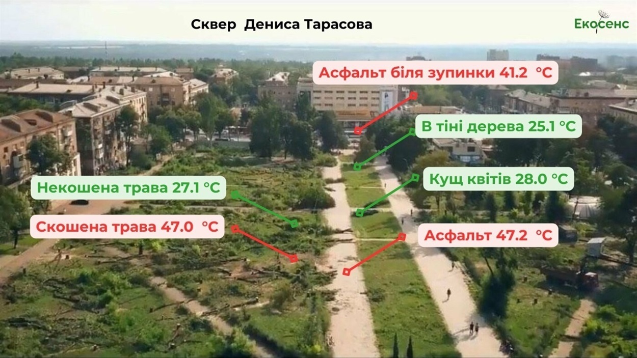 Перш за все, місто потрібні рослини