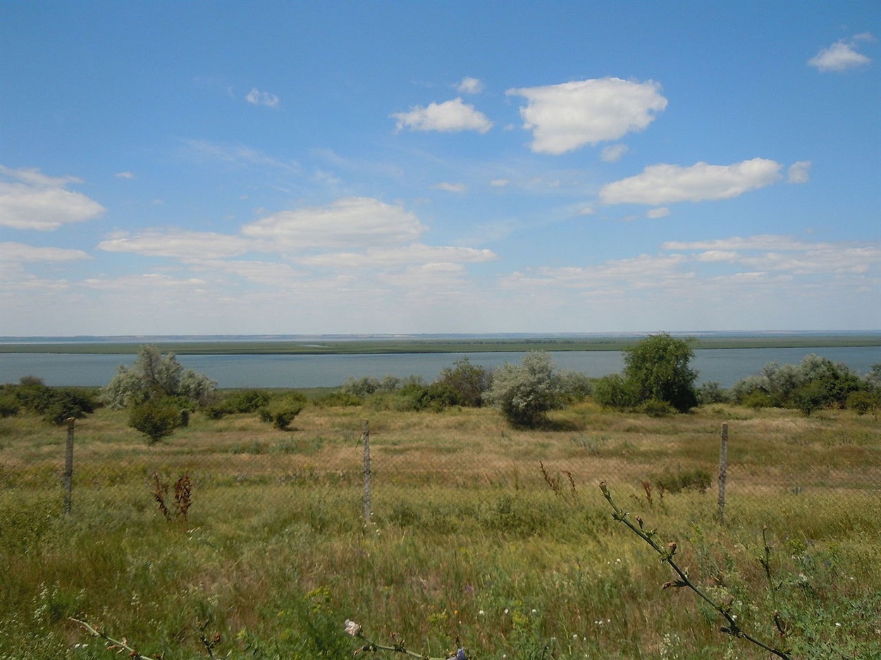 Караго́льська зато́ка — вузька видовжена затока на півночі Дністровського лиману. На березі Карагольської затоки у IV–III століттях до н. е. існувало скіфське Надлиманське городище, площею понад 6600 м², жителі якого займались землеробством і ремеслами, підтримували зв'язки з грецькими містами-колоніями.